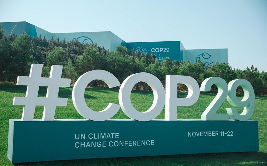 Узбекистан приветствует успешные итоги климатической конференции COP29