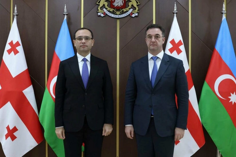 Азербайджан и Грузия создадут рабочую группу по сотрудничеству в аграрной сфере