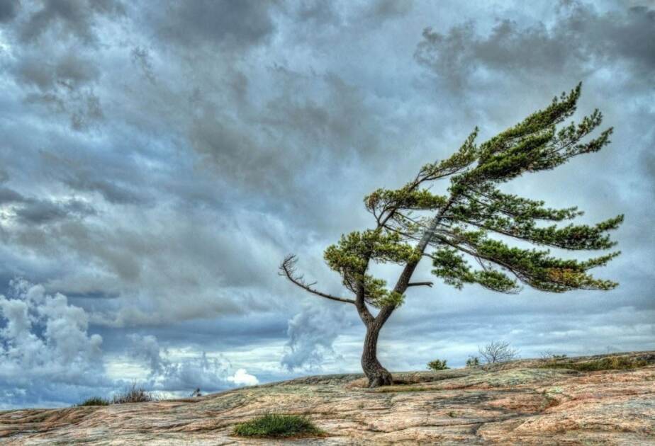 Hava şəraiti ilə bağlı xəbərdarlıq
