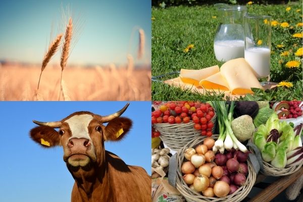 Назван объем производства сельскохозяйственной продукции в Азербайджане