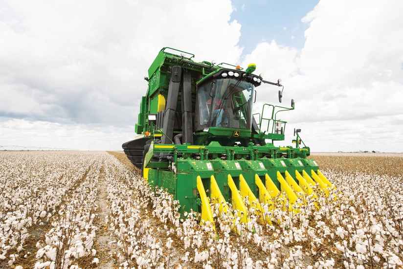 Сколько в Азербайджане собрали хлопка?